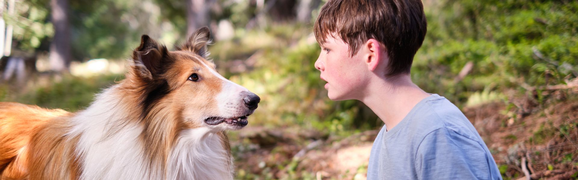 Lassie 2: Nova pustolovina / SINK