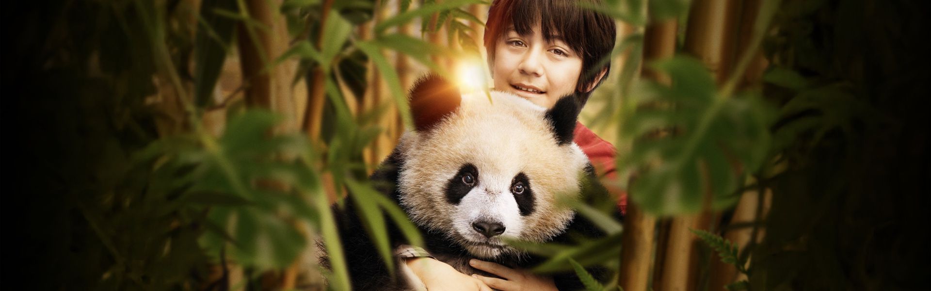 Moon – Veliki panda