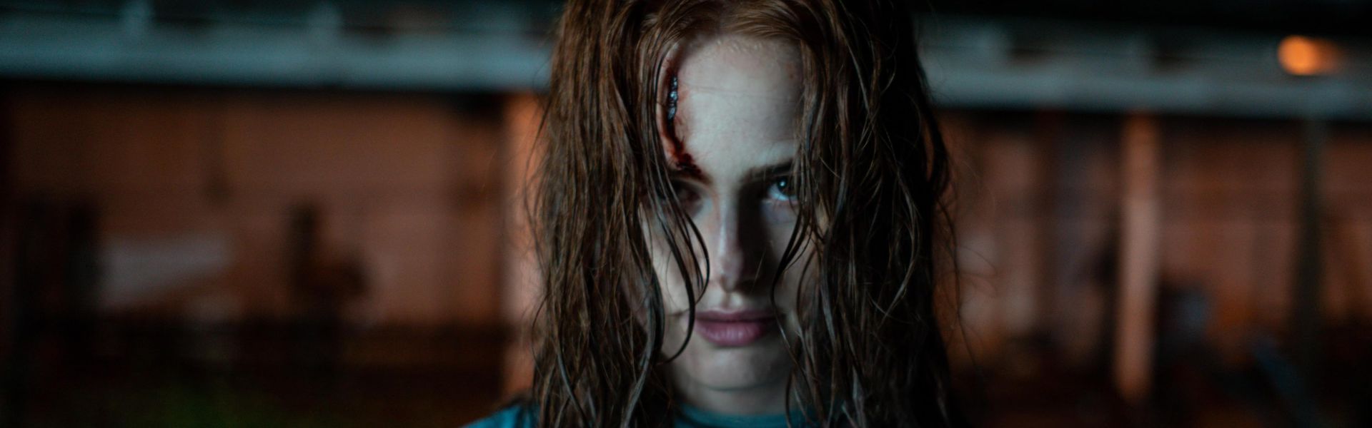 Stranci: Drugo poglavlje