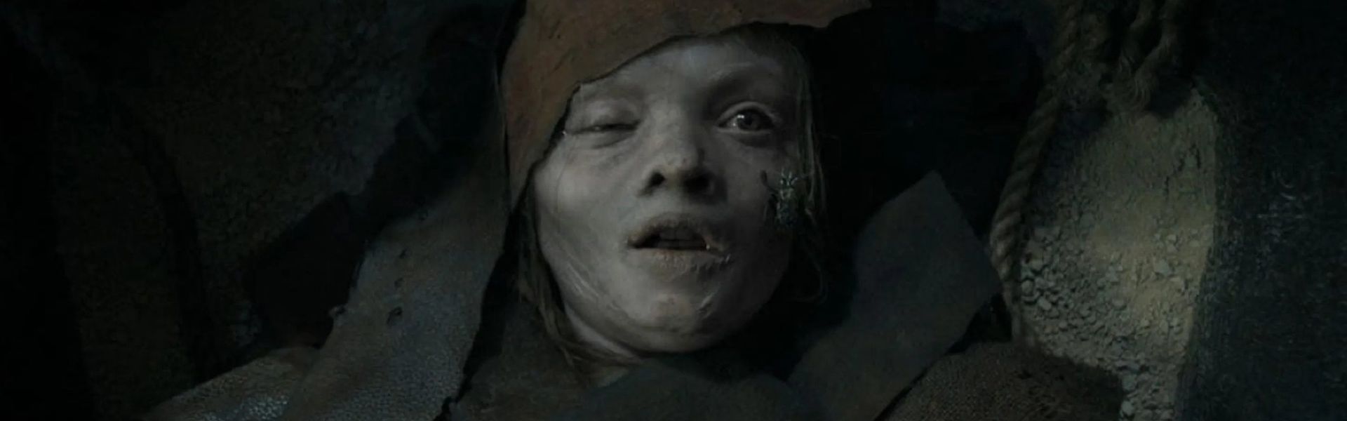 Mumija – film Leeja Cronina