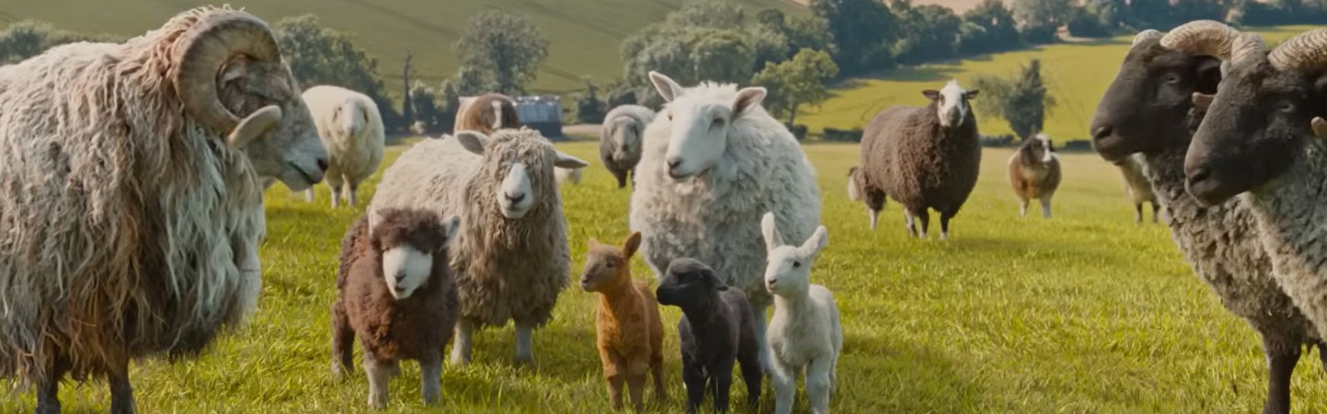 Ovce detektivi / SINK